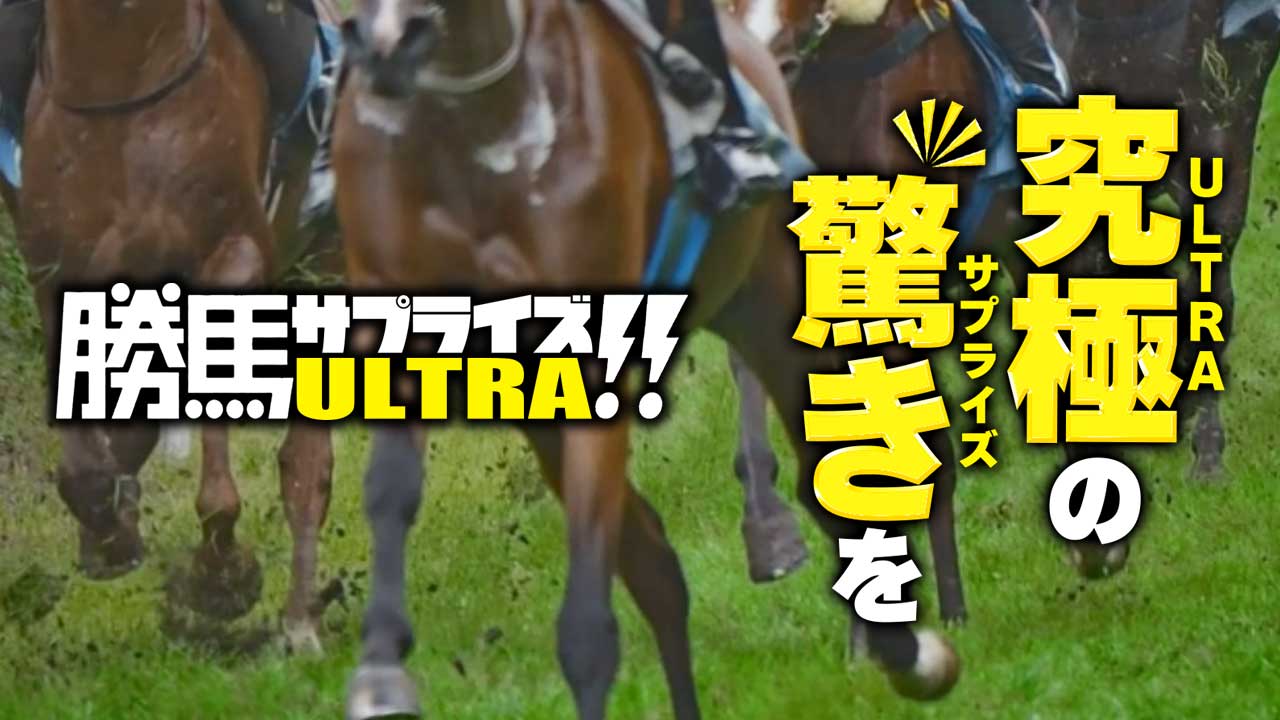 勝馬サプライズウルトラ